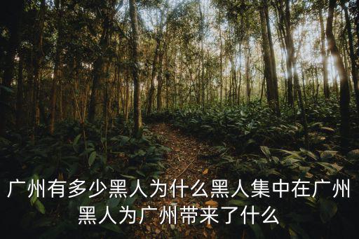 廣州有多少黑人為什么黑人集中在廣州黑人為廣州帶來了什么
