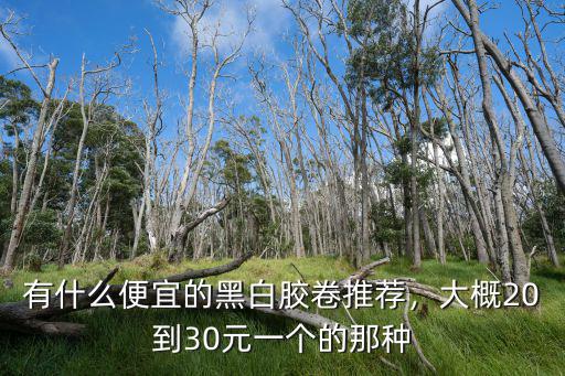 廣州哪里有黑白膠卷,有什么便宜的黑白膠卷推薦