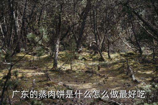 廣東的蒸肉餅是什么怎么做最好吃