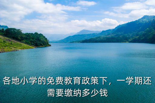各地小學的免費教育政策下，一學期還需要繳納多少錢