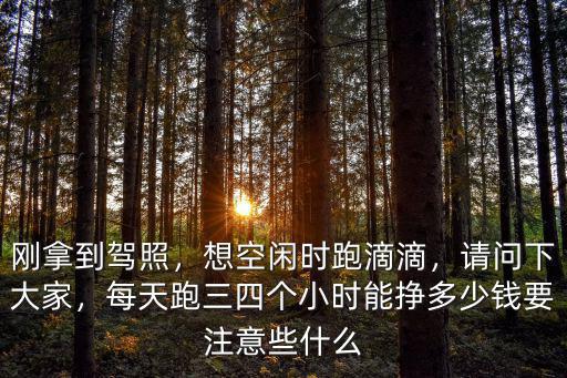 臨沂網約車每天能跑多少錢,每天跑三四個小時能掙多少錢