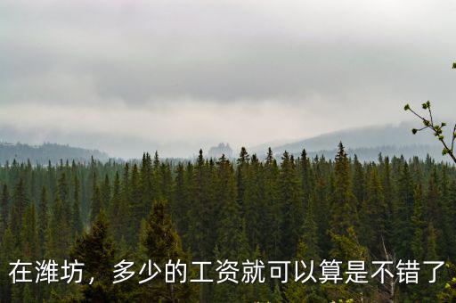 在濰坊，多少的工資就可以算是不錯了