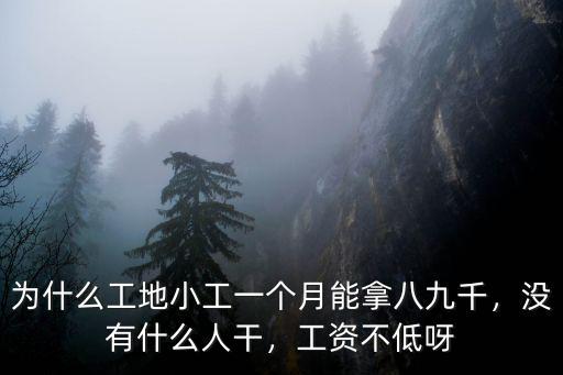 為什么工地小工一個月能拿八九千，沒有什么人干，工資不低呀