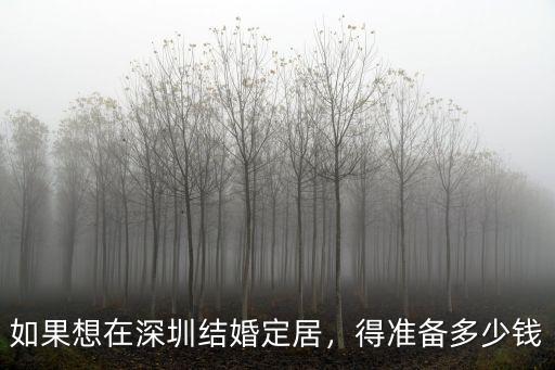 深圳定居月薪多少錢,如果想在深圳結婚定居