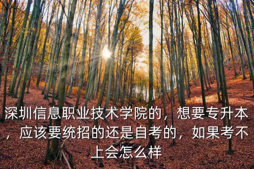 深圳職業技術信息學院怎么樣,深圳信息職業技術學院的