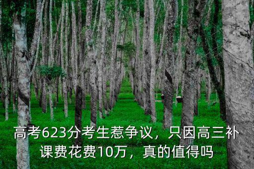廣州高三補(bǔ)課費多少,只因高三補(bǔ)課費花費10萬