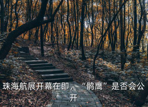 珠海航展開幕在即，“鶻鷹”是否會公開