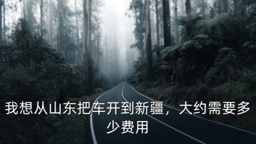 從山東到新疆物流費多少錢,我想從山東把車開到新疆