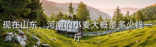 菏澤市的榆錢(qián)多少錢(qián)一斤,河南的小麥大概是多少錢(qián)一斤
