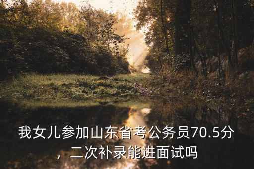山東省考筆試成績多少能進面試,二次補錄能進面試嗎