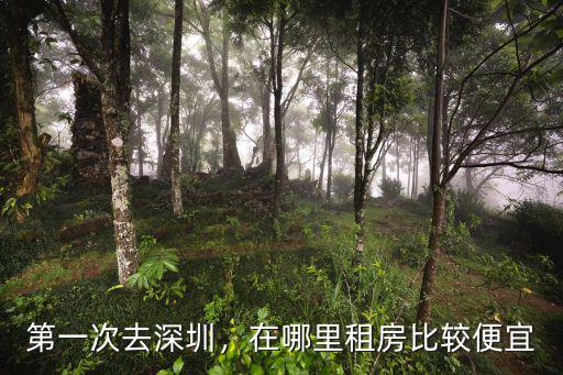 深圳地鐵附近哪里的租房比較便宜,第一次去深圳