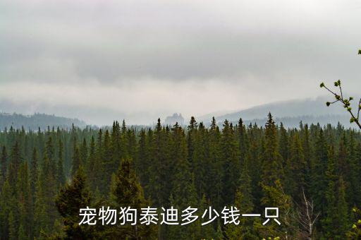寵物狗泰迪多少錢一只