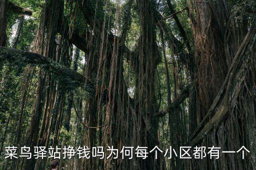 在中山菜鳥驛站一個月有多少收入,菜鳥驛站掙錢嗎