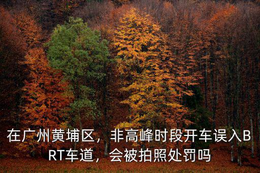 廣州公交車拍照怎么樣,廣州公交車司機待遇怎么樣