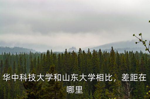 2019年山東大學(xué)在湖北招生多少,2019年大概需要多少分