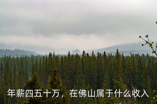 年薪四五十萬，在佛山屬于什么收入