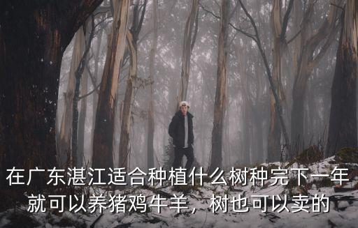 在廣東湛江適合種植什么樹種完下一年就可以養(yǎng)豬雞牛羊，樹也可以賣的