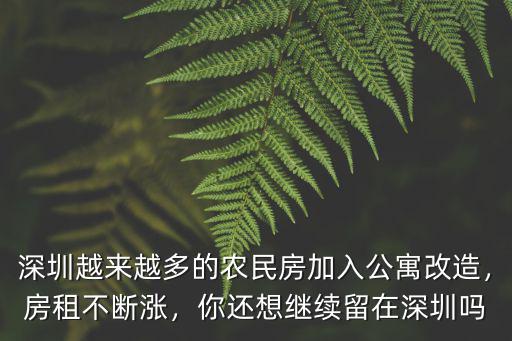 深圳紅山農(nóng)民房租大概多少,深圳石巖的房租是多少