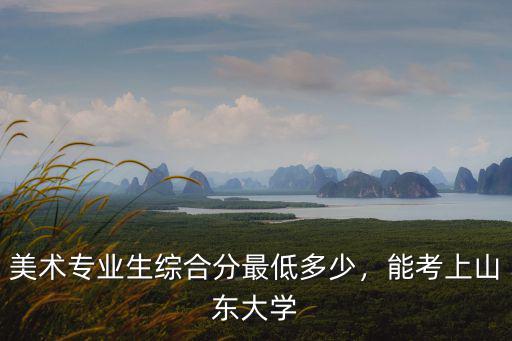 美術專業生綜合分最低多少，能考上山東大學
