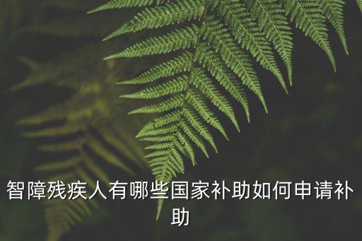 智障殘疾人有哪些國家補助如何申請補助