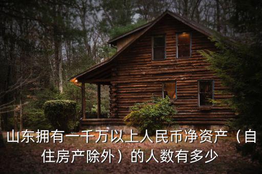 山東擁有一千萬以上人民幣凈資產（自住房產除外）的人數有多少