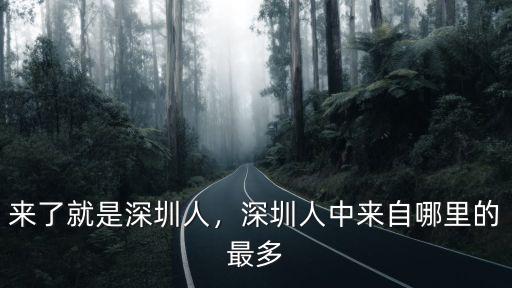 深圳晚上哪里人最多,深圳人中來自哪里的最多