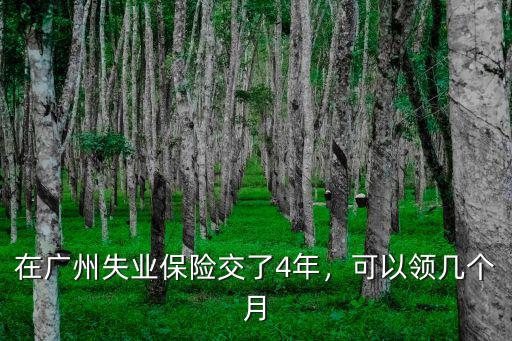 廣州4個月失業金能領多少,在廣州失業保險交了4年