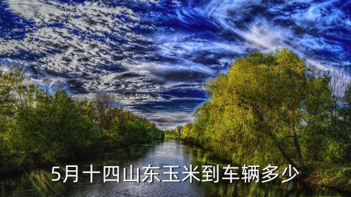 今天山東玉米車有多少輛,5月十四山東玉米到車輛多少