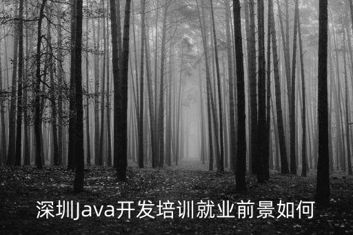 深圳學java前景怎么樣,培訓機構學出來的Java