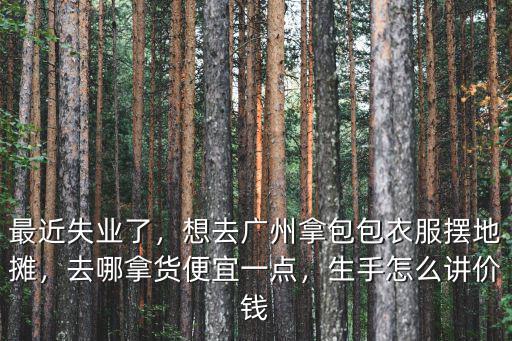 最近失業了，想去廣州拿包包衣服擺地攤，去哪拿貨便宜一點，生手怎么講價錢