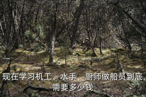 濰坊學習海員機工證多少錢,廚師做船員到底需要多少錢