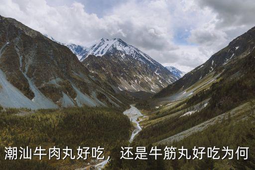 潮汕牛肉丸好吃，還是牛筋丸好吃為何