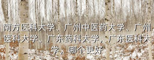 南方醫(yī)科大學(xué)、廣州中醫(yī)藥大學(xué)、廣州醫(yī)科大學(xué)、廣東藥科大學(xué)，廣東醫(yī)科大學(xué)，哪個(gè)更好