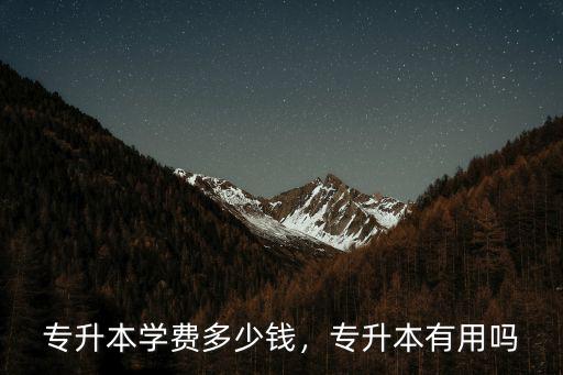 山東專升本一般多少錢,專升本有用嗎