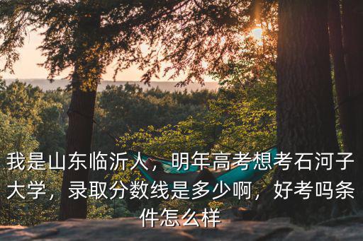 我是山東臨沂人，明年高考想考石河子大學(xué)，錄取分?jǐn)?shù)線是多少啊，好考嗎條件怎么樣