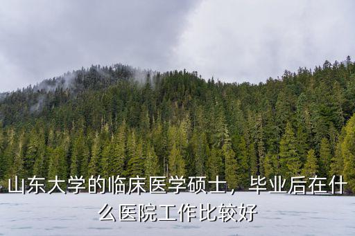 山東大學(xué)齊魯醫(yī)院有多少博士,山東大學(xué)齊魯醫(yī)學(xué)院實(shí)力如何
