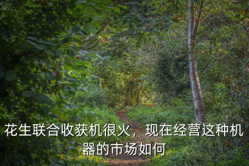 山東花生收獲機(jī)多少錢,我想買一臺(tái)自走式花生收獲機(jī)