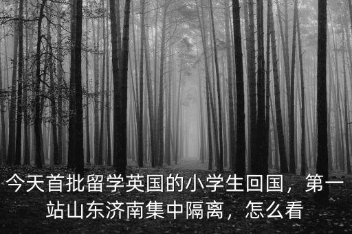 今天首批留學英國的小學生回國，第一站山東濟南集中隔離，怎么看