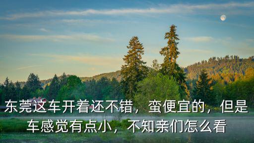 東莞宜步出行怎么收費,不知親們怎么看