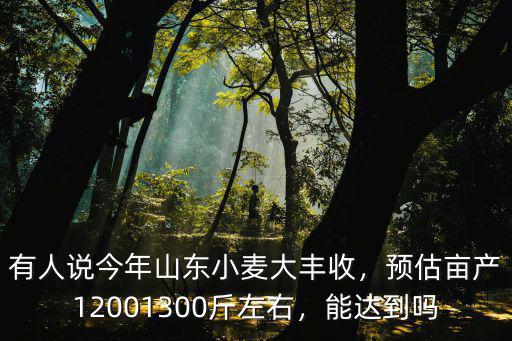 有人說今年山東小麥大豐收，預估畝產12001300斤左右，能達到嗎
