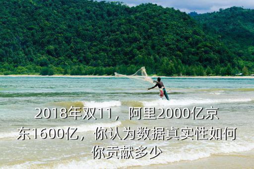 2018年雙11，阿里2000億京東1600億，你認為數據真實性如何你貢獻多少