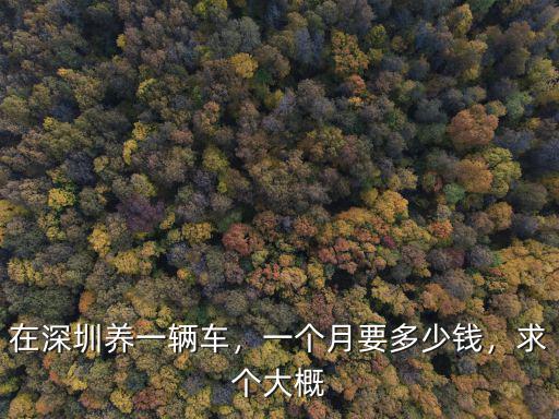 在深圳養一輛車，一個月要多少錢，求個大概