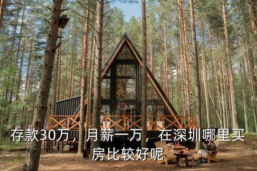 存款30萬，月薪一萬，在深圳哪里買房比較好呢
