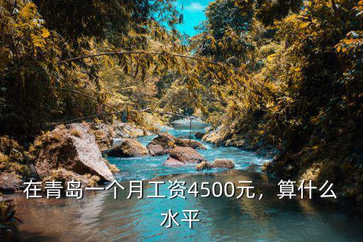 青島一個月工資多少,在青島一個月工資4500元