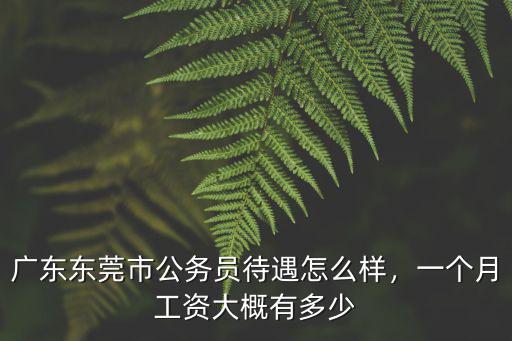 廣東東莞市公務員待遇怎么樣，一個月工資大概有多少