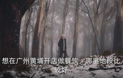 盒馬在廣州哪里開店,哪里地段比較好