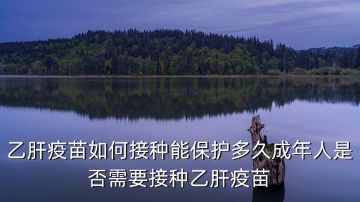 乙肝疫苗如何接種能保護多久成年人是否需要接種乙肝疫苗