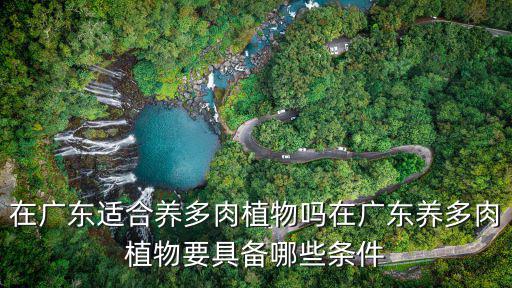廣州肉肉種植物在哪里,在廣東怎么養(yǎng)多肉植物