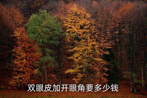 深圳割雙眼皮和開眼角多少錢,隆鼻加割雙眼皮大約要多少錢