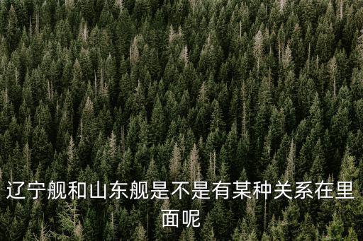 遼寧艦和山東艦是不是有某種關(guān)系在里面呢